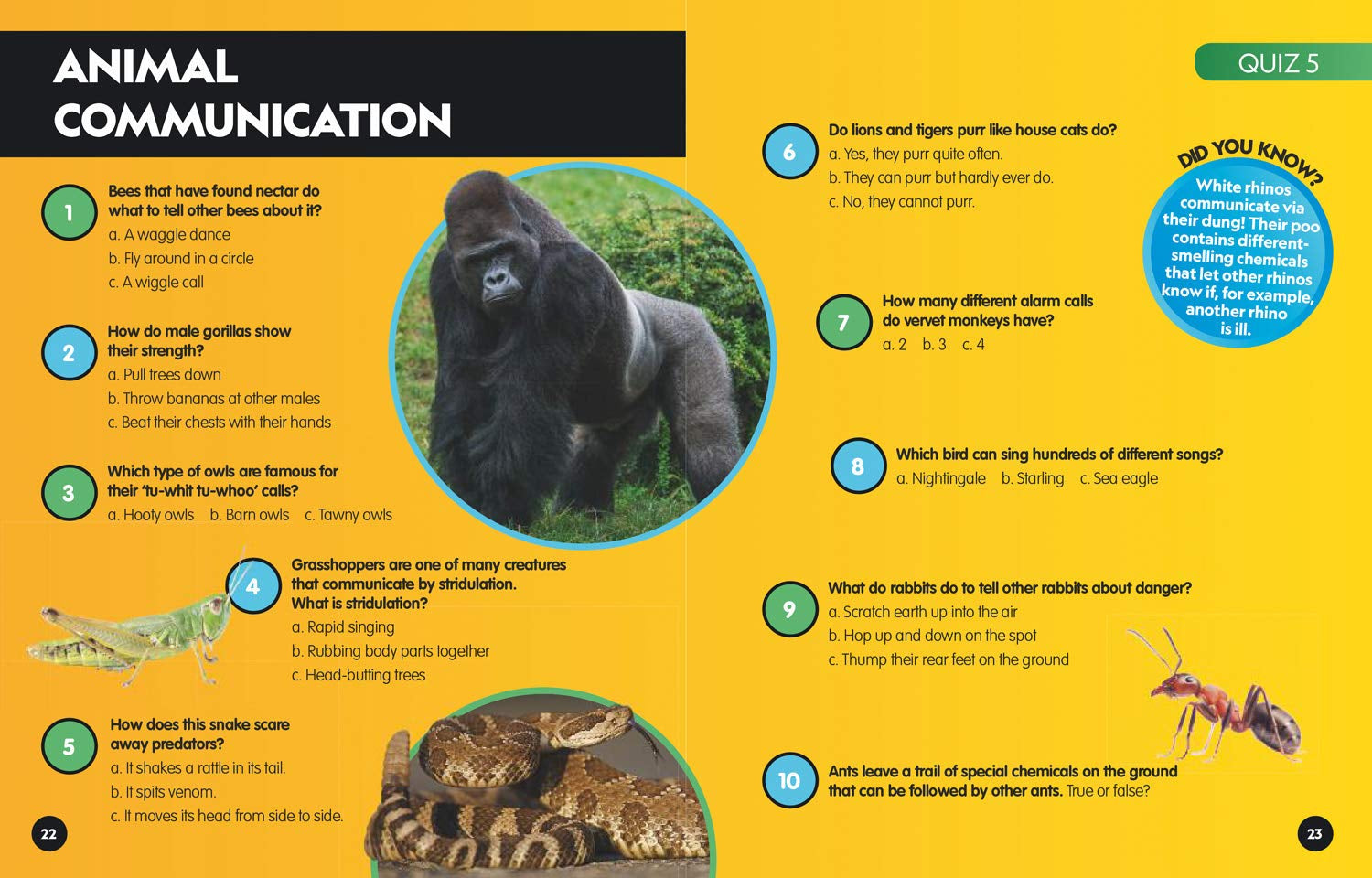 Animals Quiz Book: 300 Brain Busting Trivia Questions (National Geographic Kids)